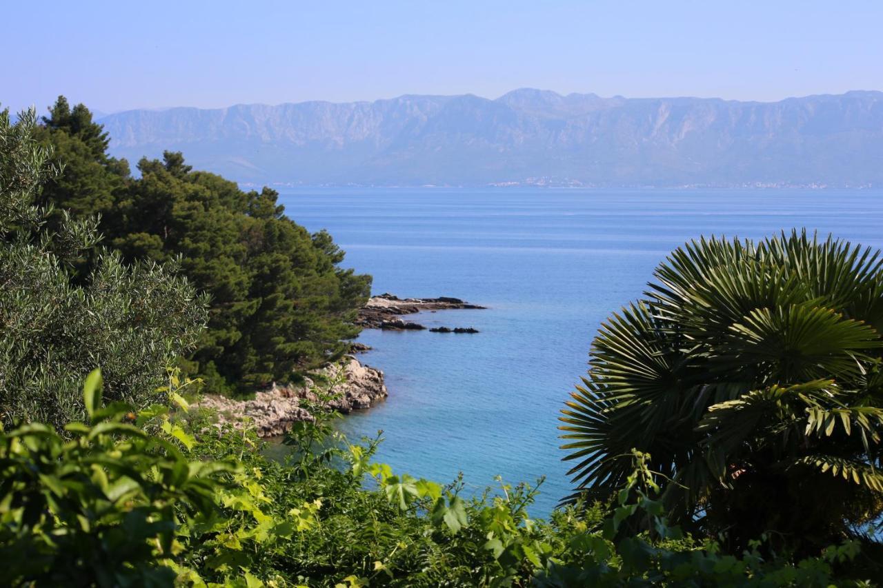Apartments And Rooms By The Sea Trpanj, Peljesac - 258 Exteriér fotografie