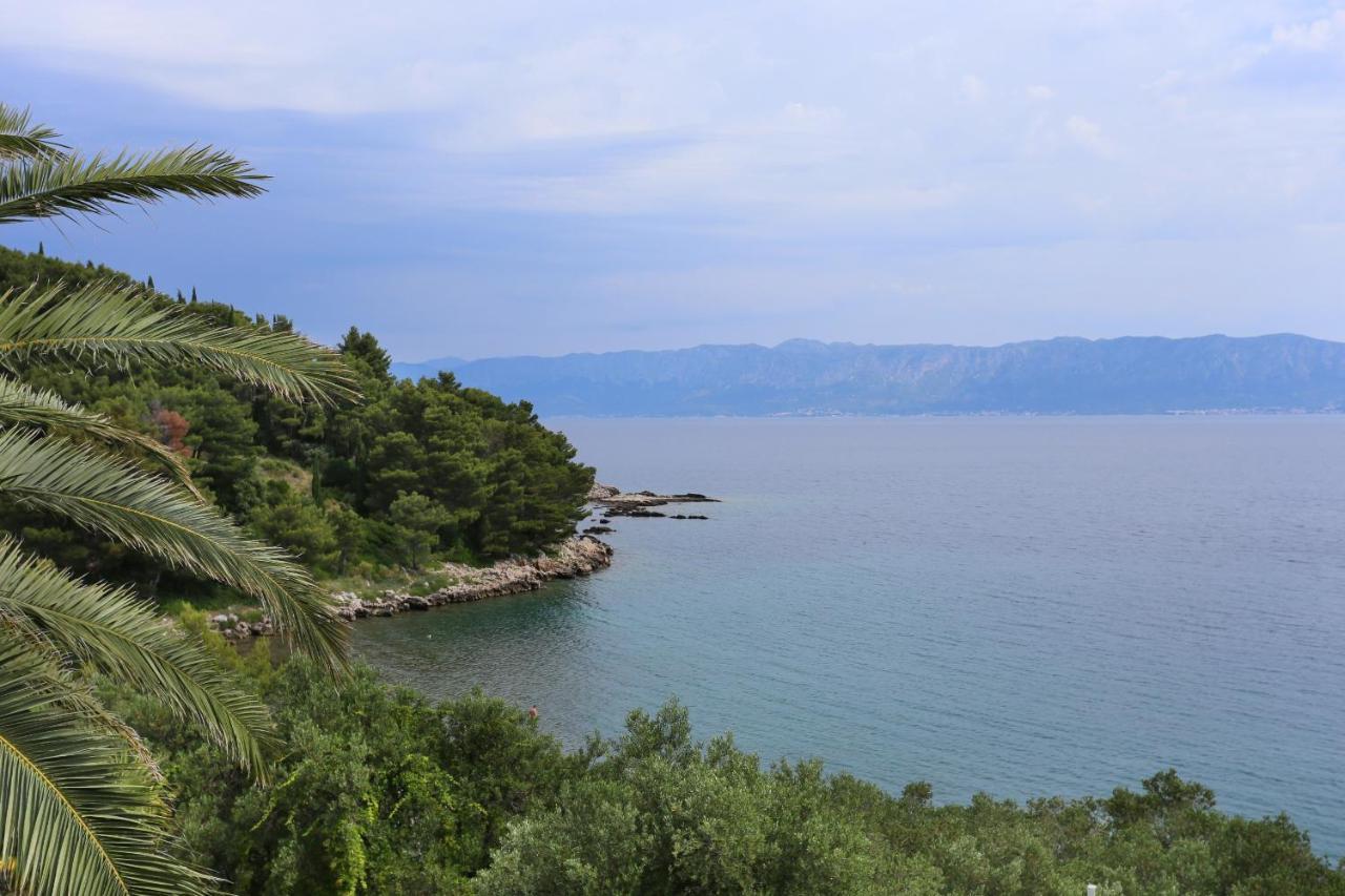 Apartments And Rooms By The Sea Trpanj, Peljesac - 258 Exteriér fotografie